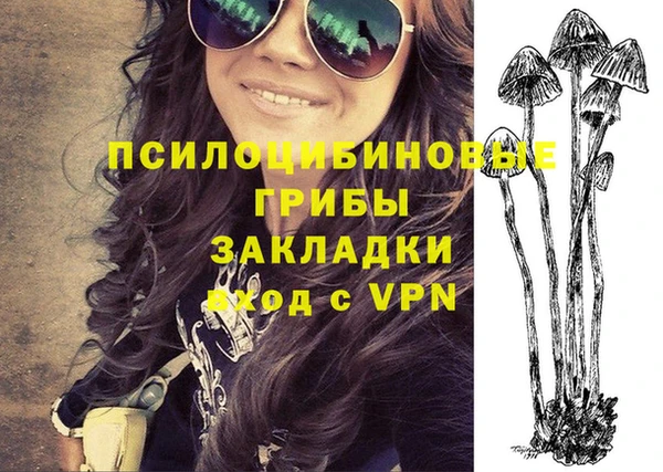 ГАЛЛЮЦИНОГЕННЫЕ ГРИБЫ Горняк