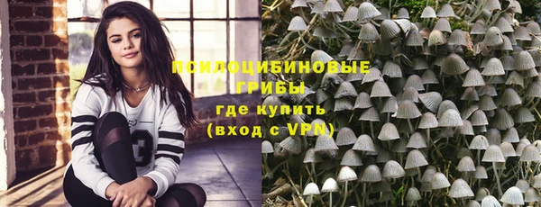 ГАЛЛЮЦИНОГЕННЫЕ ГРИБЫ Горняк