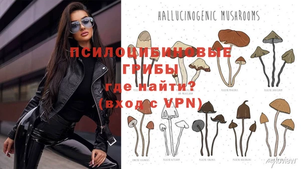 ГАЛЛЮЦИНОГЕННЫЕ ГРИБЫ Горняк