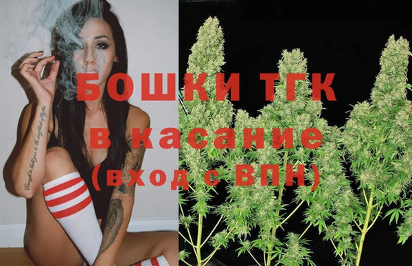 ГАЛЛЮЦИНОГЕННЫЕ ГРИБЫ Горняк