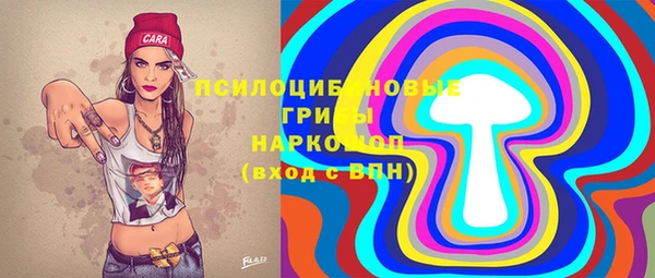 амф Горнозаводск